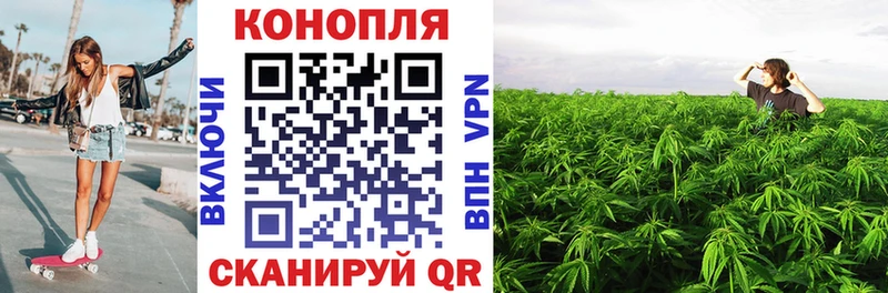 Что такое Курганинск Бутират  Меф  A-PVP  Гашиш  КОКАИН 