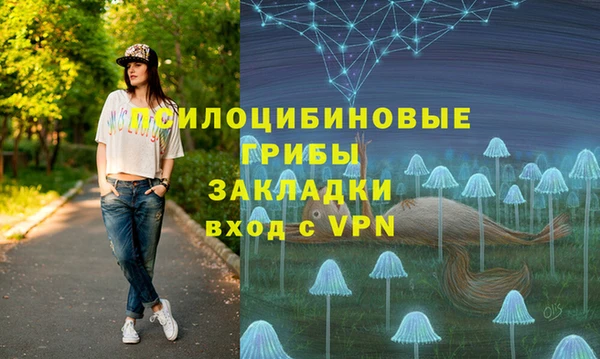 PSILOCYBIN Армянск