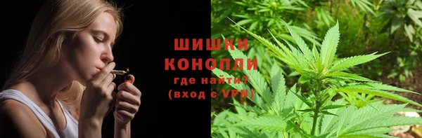PSILOCYBIN Армянск