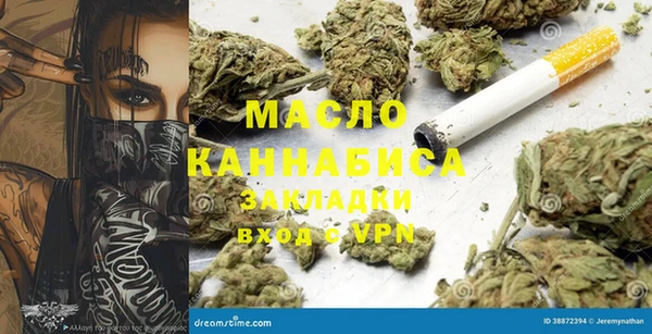 хмурый Арсеньев
