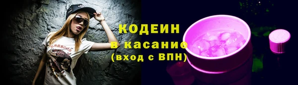 бошки Снежинск