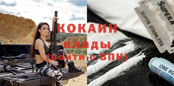 хмурый Арсеньев
