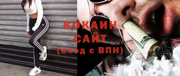 хмурый Арсеньев