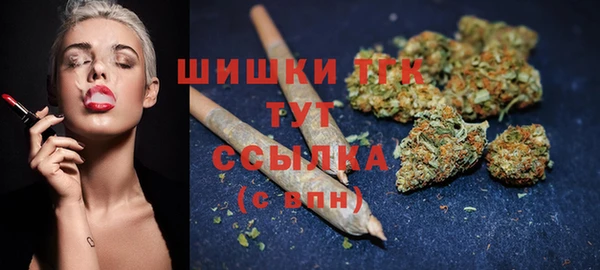spice Аркадак