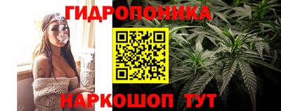 кокс Аша