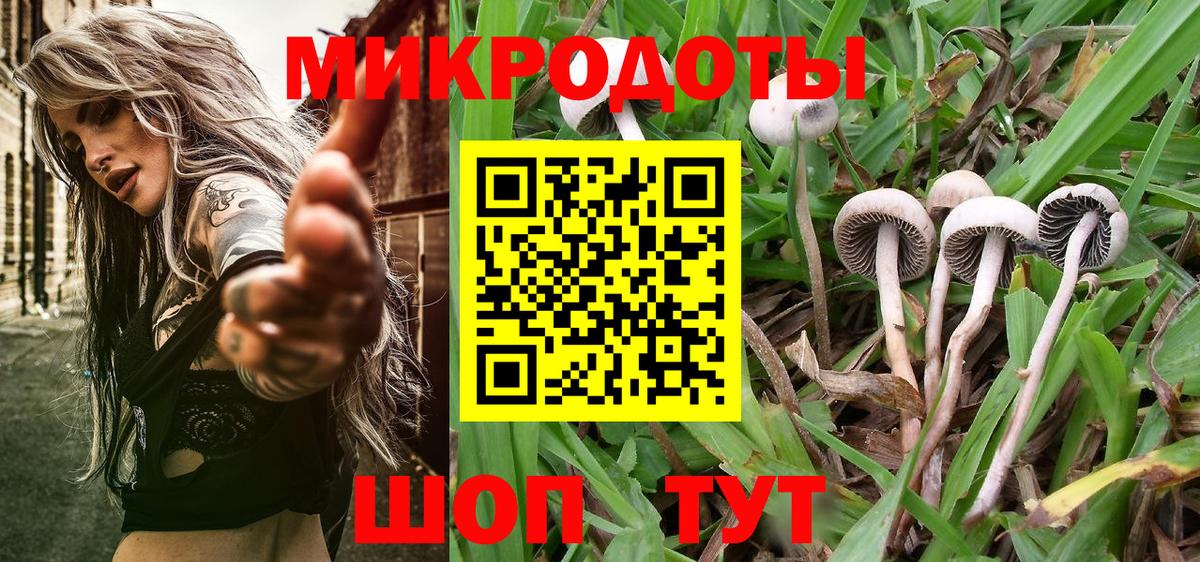 Псилоцибиновые грибы Magic Shrooms  Галлюциногенные грибы прущие грибы  закладки  Вход с VPN  Курганинск 